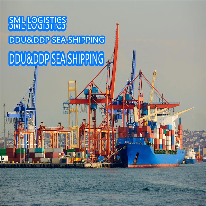 Transporte marítimo a Australia/Reino Unido/Estados Unidos/Alemania/Francia/Canadá/ países Bajos/Tailandia agentes de DDP Logística