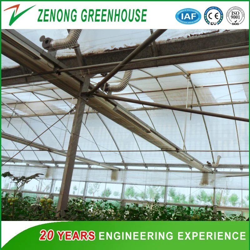 Large-Scale Reinforced Po/PE/EVA Film Greenhouse for Planting Vegetable/Flower/Dwarfed Fruit Tree