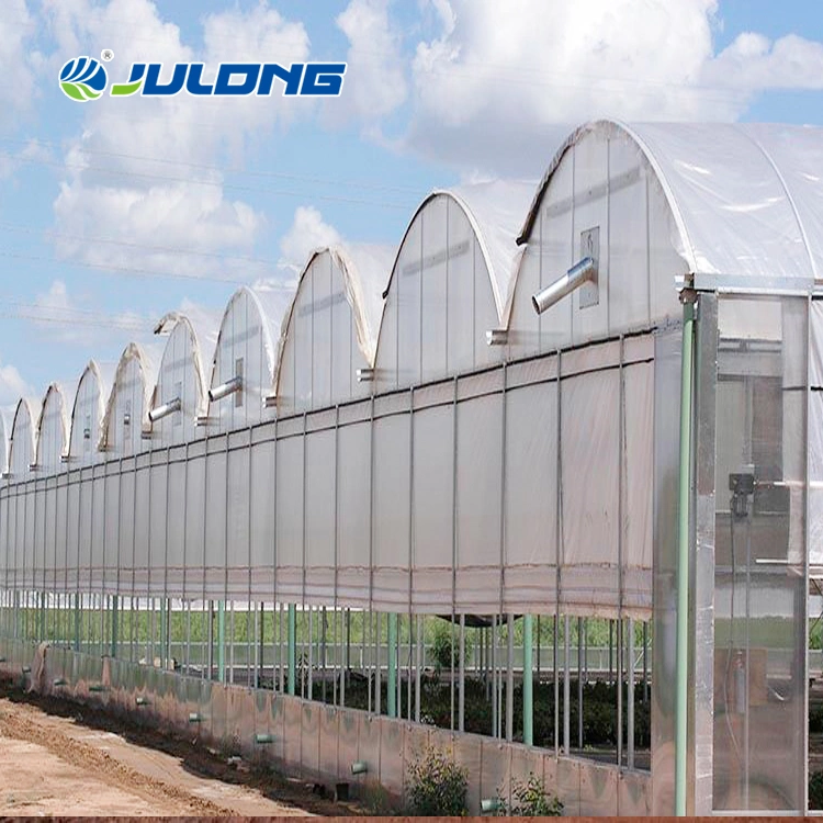 Gutter Connected Multi-Span PE Film Greenhouse for Tomato Cucumber Hydroponic Growing