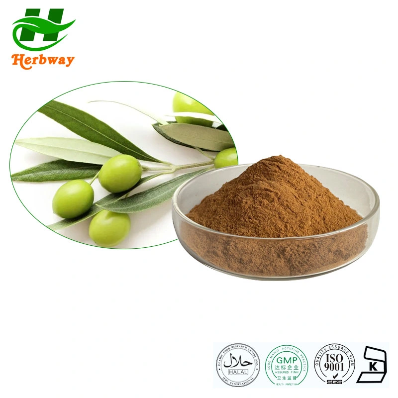 Herbway Factory Direct Sale Competitive Price Protect Skin Hydroxytyrosol Extract Oleuropein Oleanic Acid Olive Leaves Extract