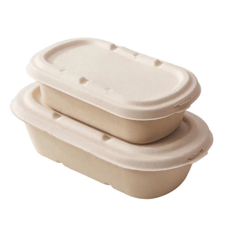 Biodegradable Disposable Bagasse Takeaway Food Packaging Box Lunch Box