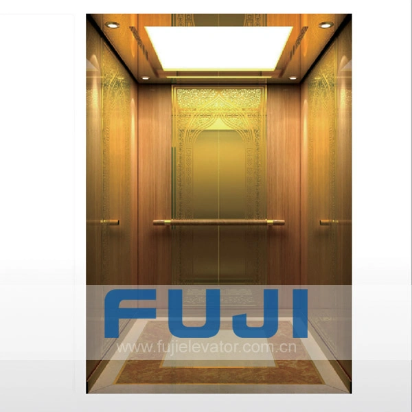 FUJI Gold Mirror Etching Cost Price House Passenger Lift Made in China