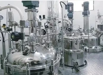 Anaerobic Bioreactor Fermentor 20000L 30 Gallon Stainless Steel Fermenter for Sale