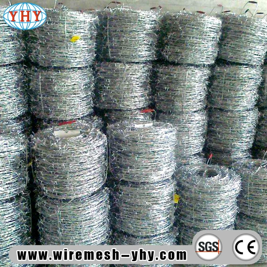 Low Price Hot Dipped Galvanized Iron Barbed Wire