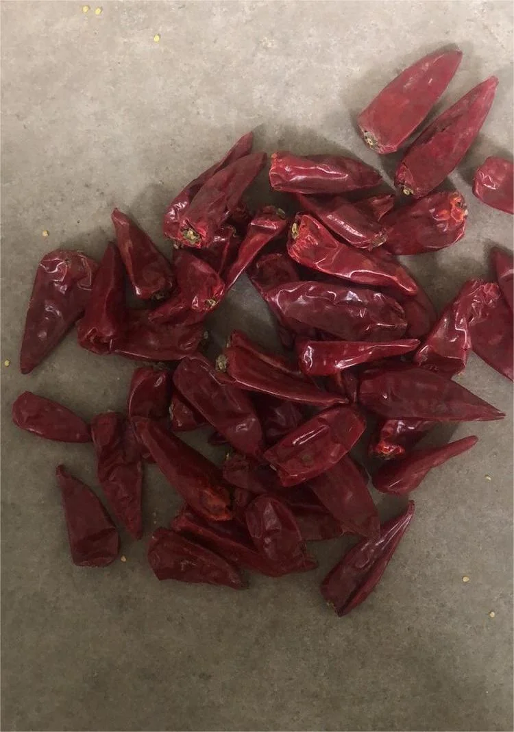 Top Product 100% Pure Dried Chili