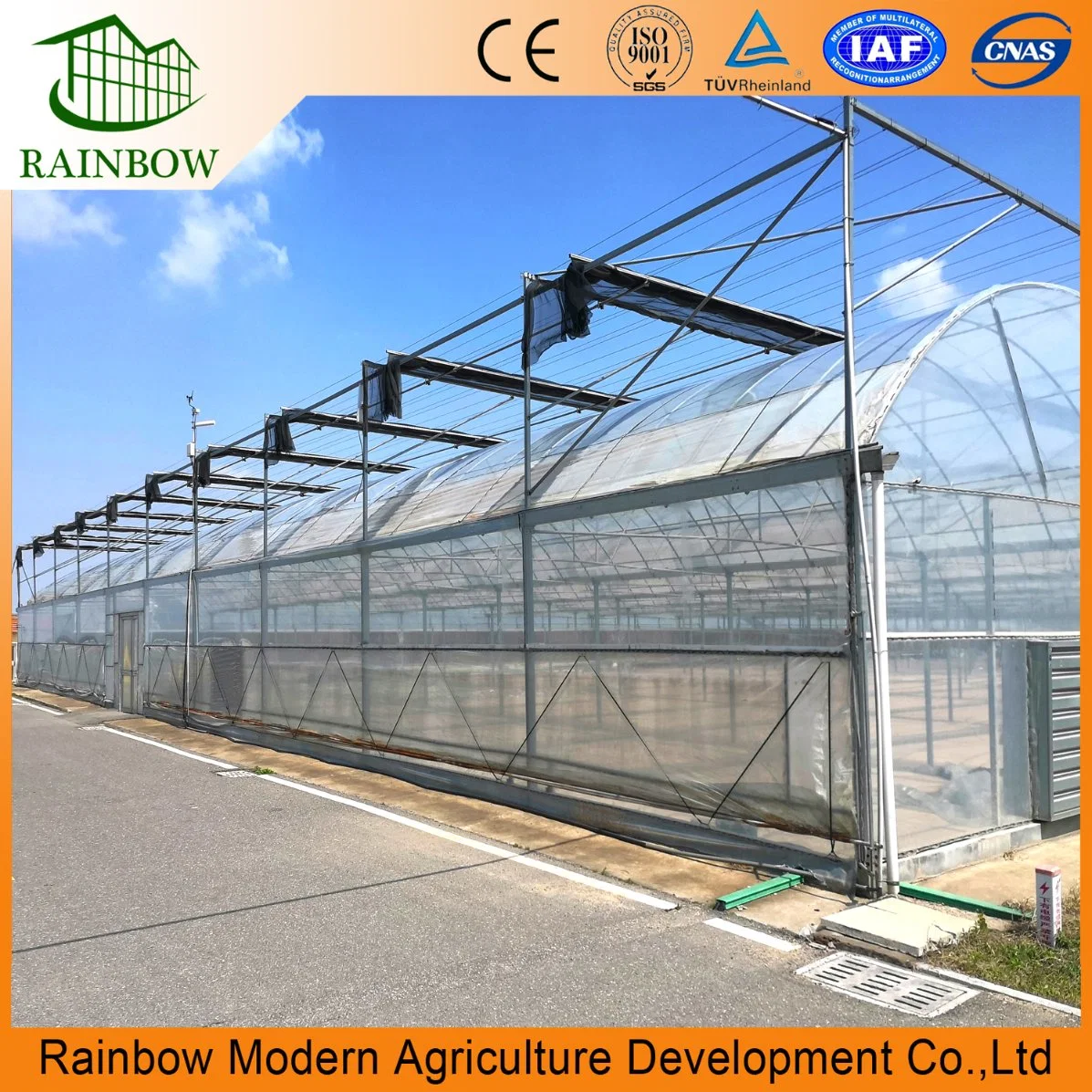 Chinese Multi Span Po/ PE Film Agricultural Greenhouse with Hydroponics Aquaponics System