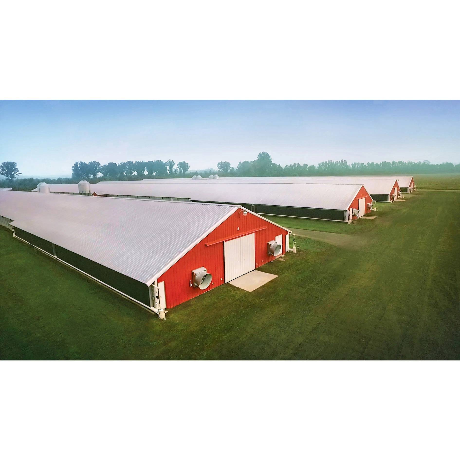 Control Prefab Steel Structure Design Chicken Poultry House Farm Shed