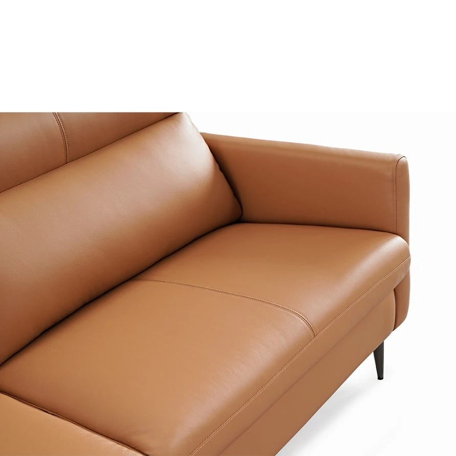 Contemporary Designer Home Settees Loveseat Chair Living Room Furniture Couches Leather Sofa