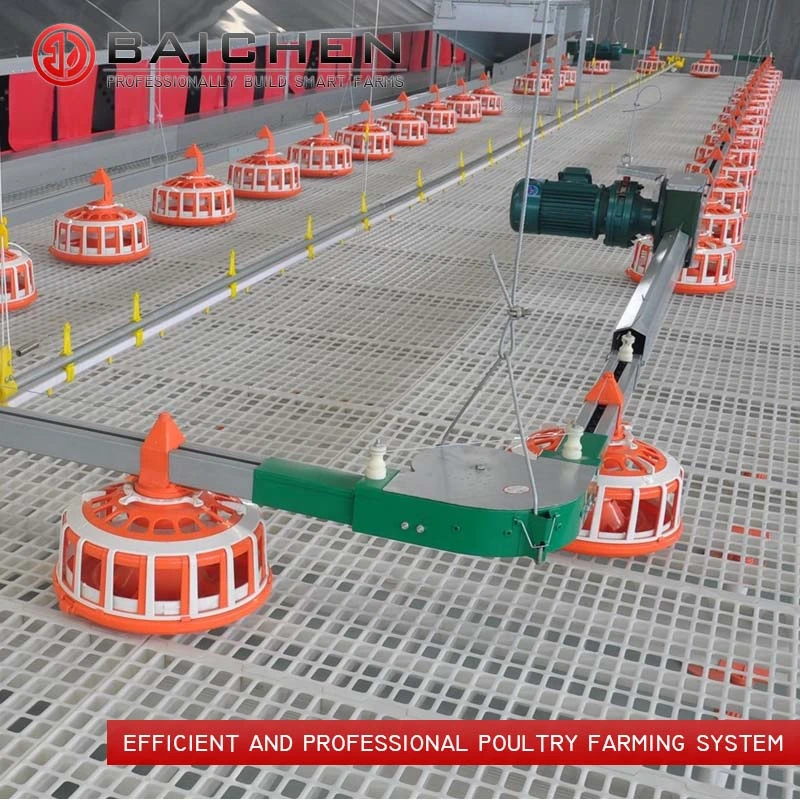 Poultry Farm Floor Raising Breeder Pan Feeding System