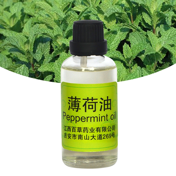 GMP Peppermint Essential Oil for Cosmetic, Chemical, Flavor and Soap