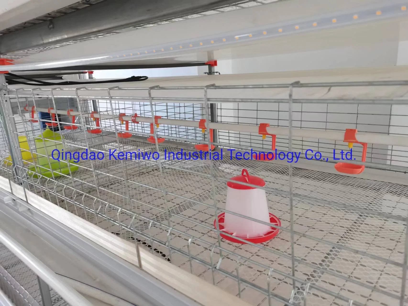 Chicken Farm Feeding System Automatic H-Type Chicken Cage