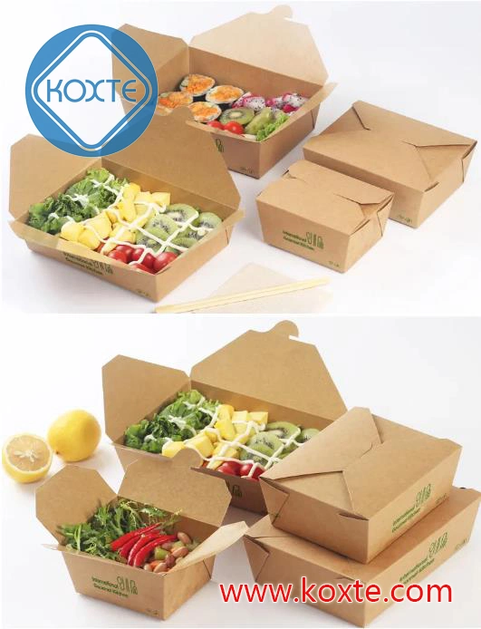 Compostable Cardboard Paper Lunch Box for Catering/Airline Paper Box/Gift Box/Mailer Box/Card Box/Meal Box Making Machine