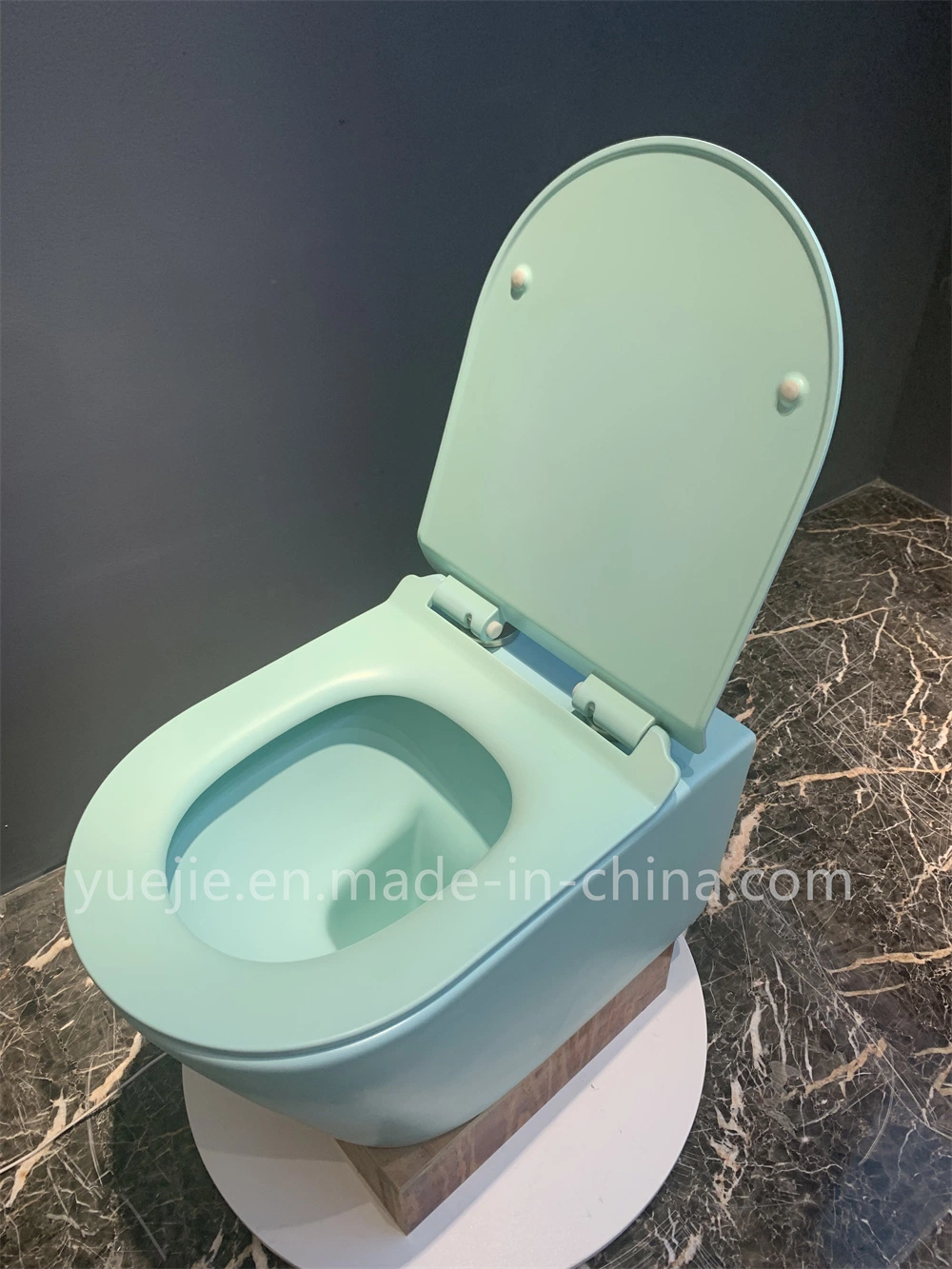 Wholesale/Supplier Modern Hotel Wall-Hung Rimless Wall Mounted Row Toilet Bowl Ceramic Bathroom Matt Color Wall Hung Toilet Set