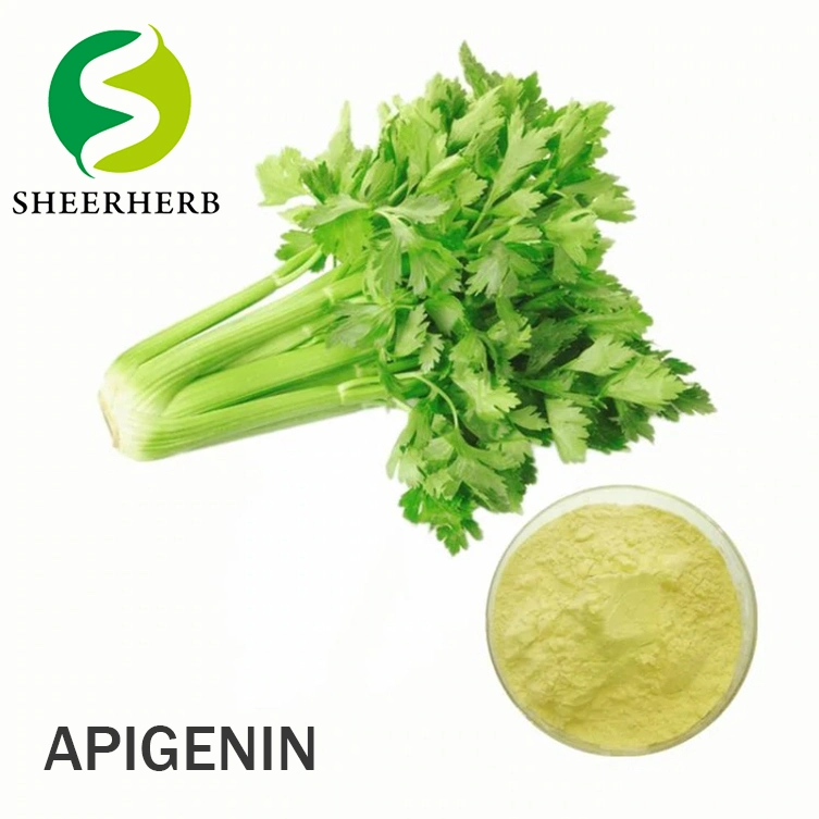 Best Price Factory Supply Apigenin Bulk Powder CAS 520-36-5 Apigenin Powder Apigenin