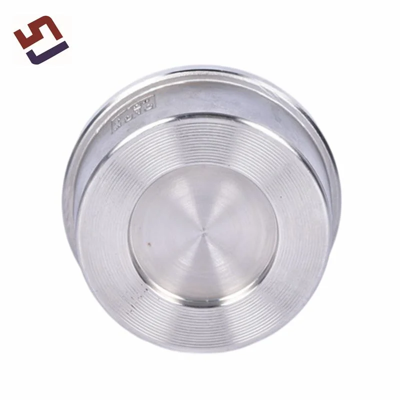 Stainless Steel Single Disc Wafer Check Valve Casting Body