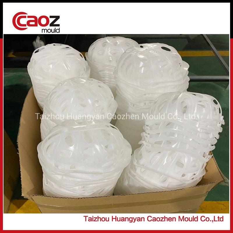 Helmet Inside Plastic Cover Injection Mould with Competitive Price