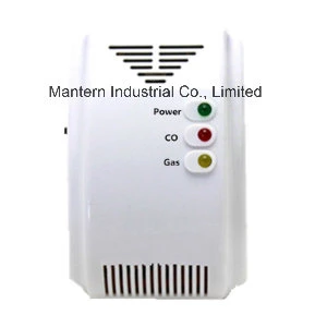 Combined 2 in 1 Gas Detector for Co and Gas