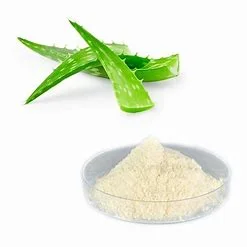 Personlized Products Organic Extract Freeze Dried Aloe Vera Gel Extract Aloin Powder