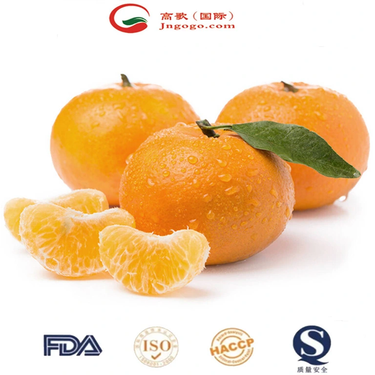 China frisch, süß und qualitativ hochwertige Mandarin, Orange