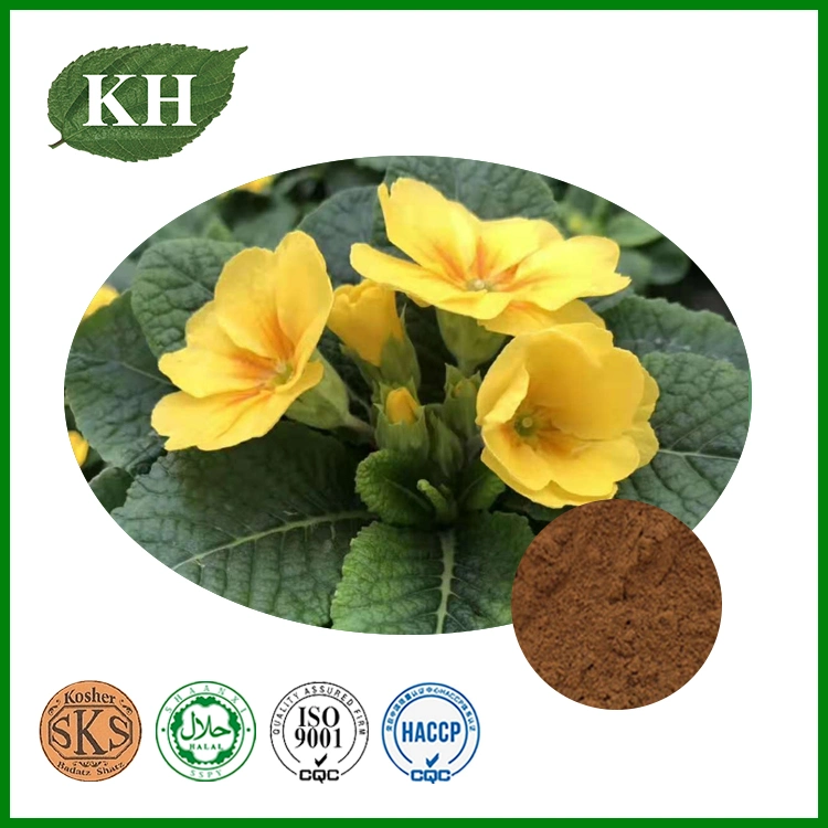 Anti-Inflammatory 4: 1 10: 1 Primula Extract