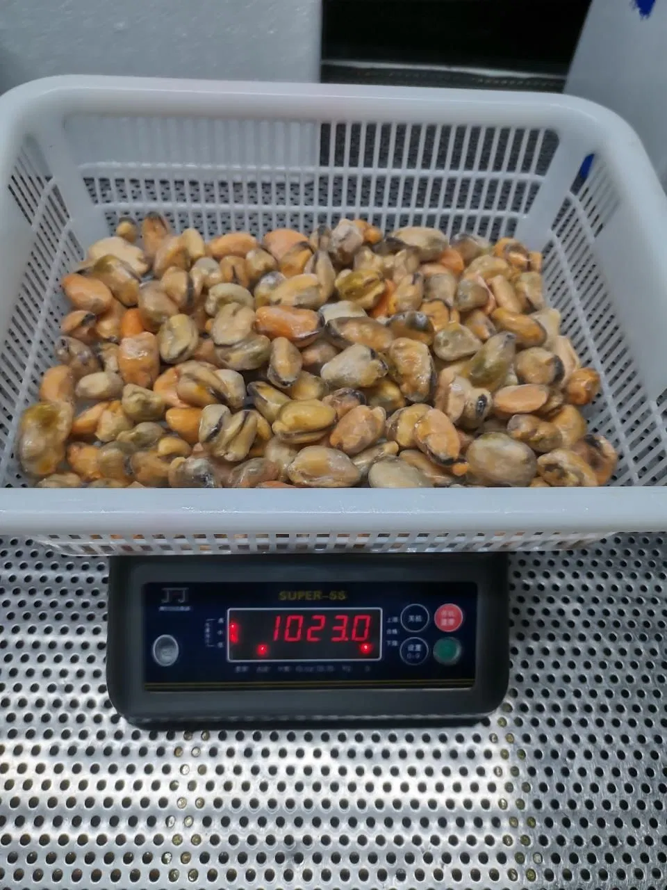 Frozen Chinese Seafood Cooked Boiled Mussel Meat