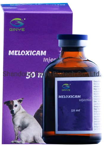 Fournisseur chinois médecine vétérinaire utiliser Meloxicam injection 2% médecine de chien