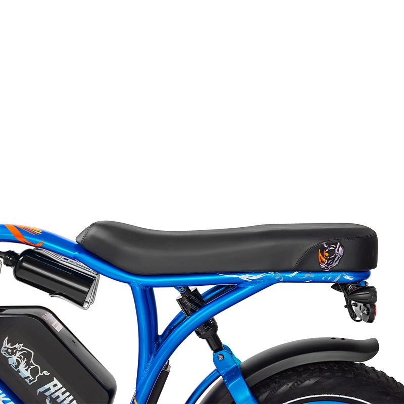 عجلة 20 عجلة جبل هجين للبالغين من المصنع الأوروبي حجم الدراجة الكهربائية المدينة