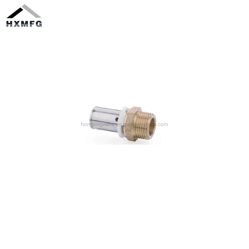 Female Swivel Stainless Steel Straight Brass Pex Press Fitting