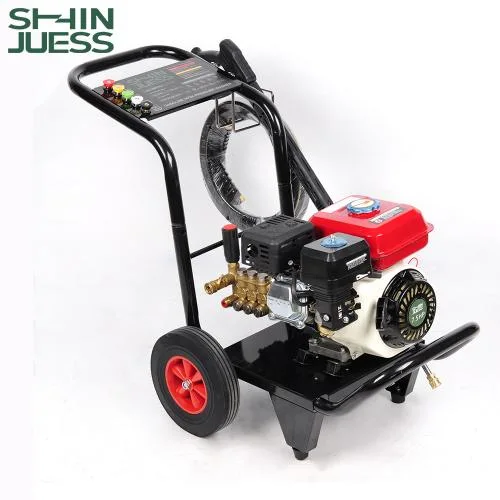 Custom High Pressure Gasoline Power Washer for Agricultural Cleaning