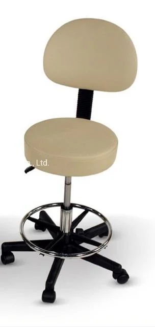 Master Chair Beauty Salon Furniture Saddle Stool Adjustable With Back Rest (ZG29-009)