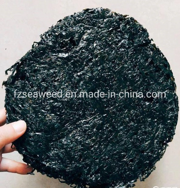 Factory Export Dried Nori Seaweed Laver for Japanese Sushi