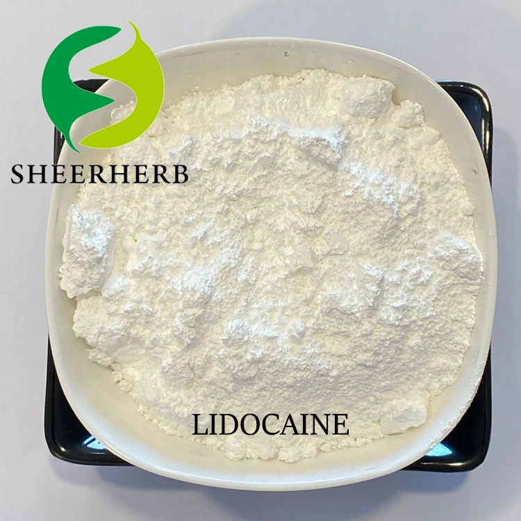 Suministro de fábrica Lidocaine polvo Precio barato Lidocaine CAS 137-58-6 Lidocaine Polvo