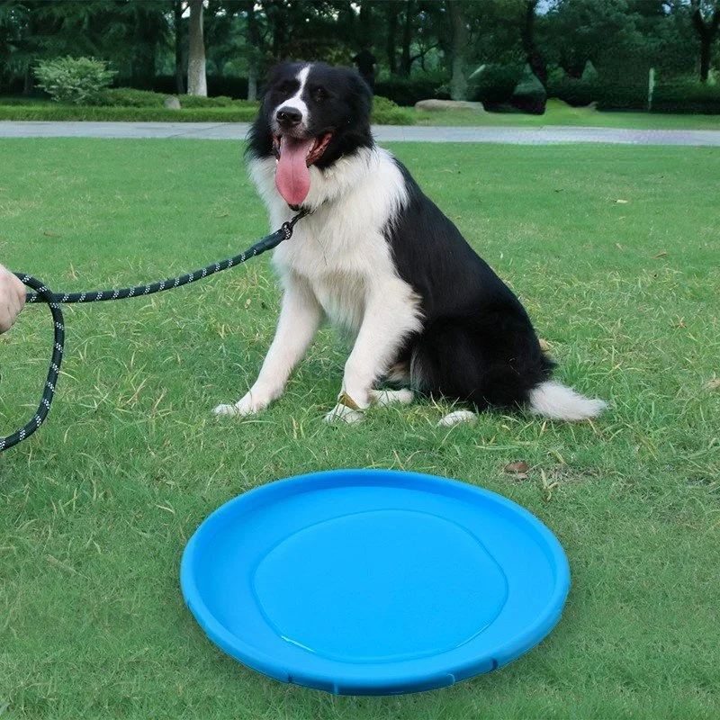 Dog Frisbee Interactive Pet Toy Floating Water Bite Resistant Recovery Training