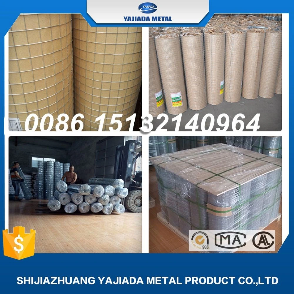 Hot Dipped Galvanized Wire Mesh, Gi Mesh