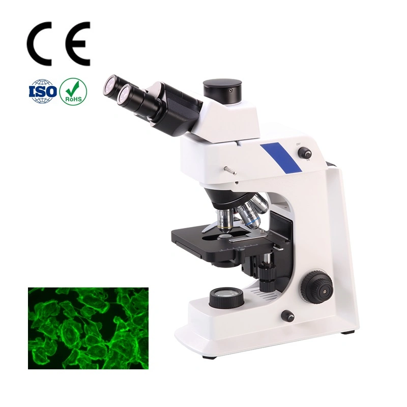 Olympus Triocular Contrast Fluorescence Video Biological Microscope Pictures & Photos