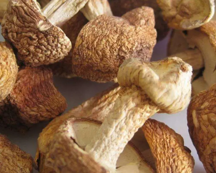 Fabrik Preis Lebensmittelqualität Trockene Agaricus Bisporus Pilz Großhandel/Lieferant Kräuter