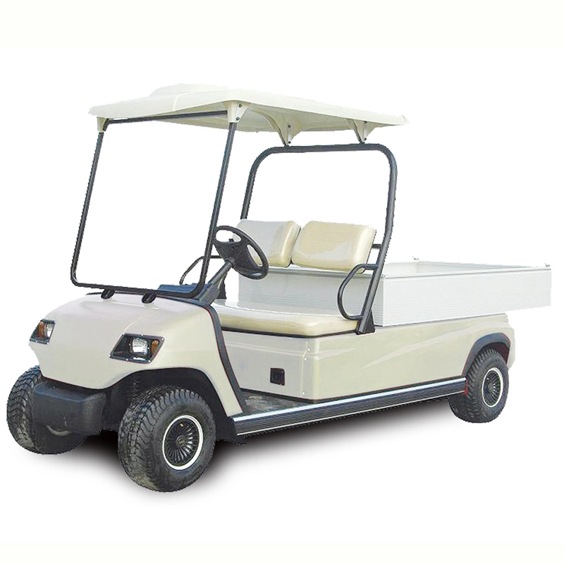 Electric Golf Cargo Truck Car 2 Seaters Electric Golf Car with Cargo Box