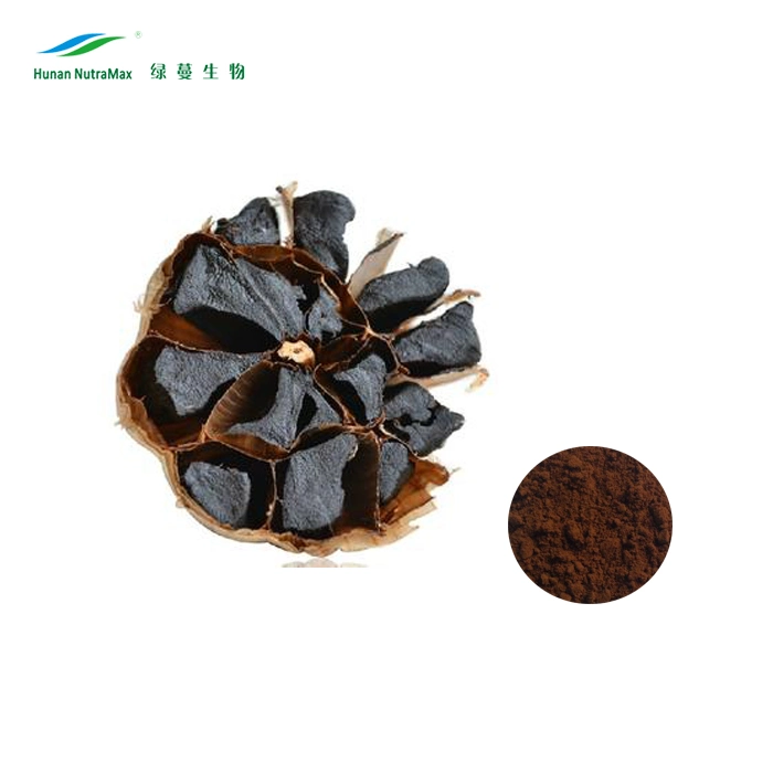 Factory Supply 4: 1~20: 1 Fermented Black Garlic Seed Extract Powder