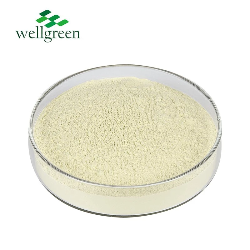 Factory Best Price Pomelo Peel Citrus Paradisi Grapefruit Extract Food Grade 98% Naringin Powder