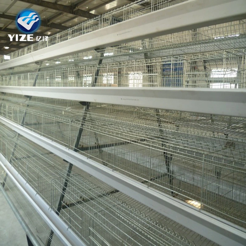 Design Layer Chicken Cages Customizable Galvanized Steel Poultry Enclosure