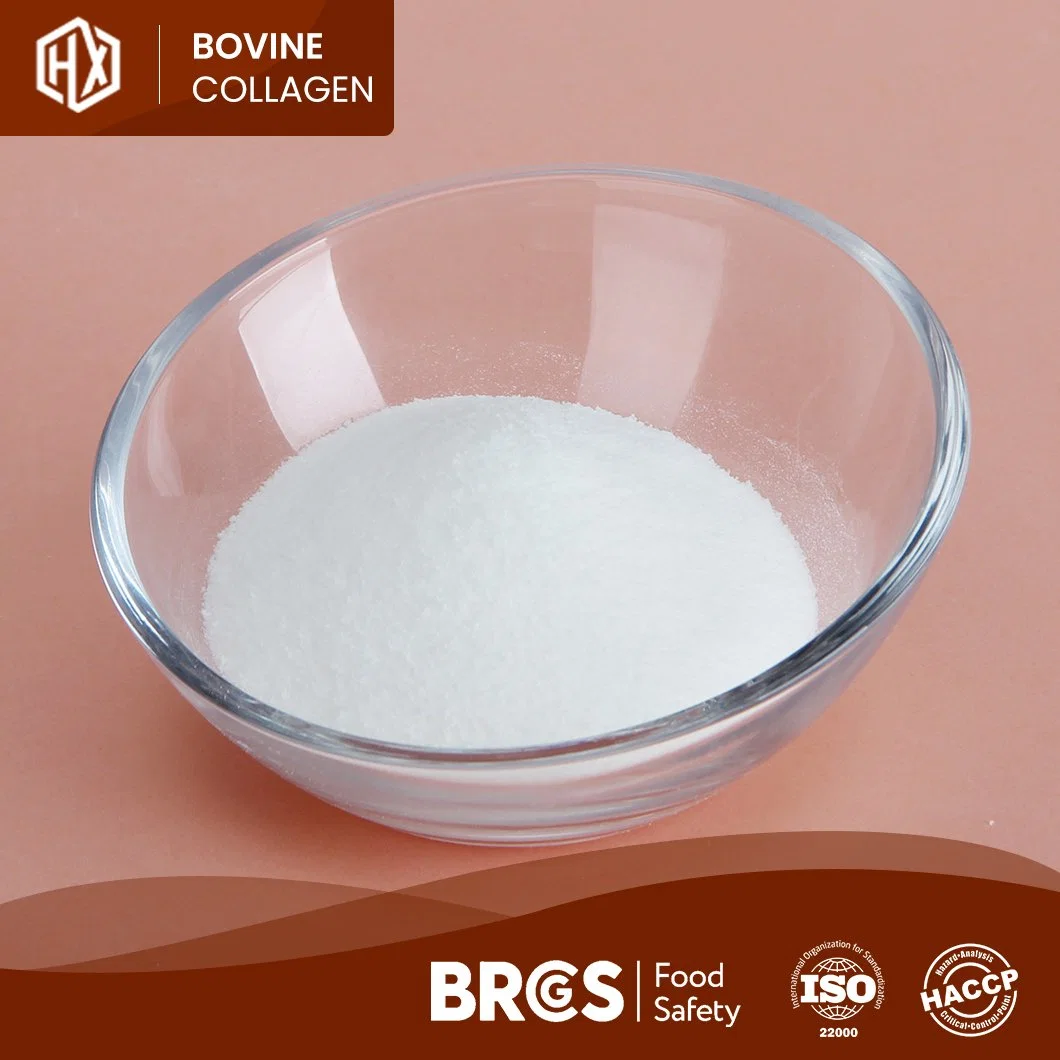 Haoxiang piel bovina de grado alimenticio en polvo de colágeno hidrolizado de colágeno bovino Powder Fabricante China Wholesale/Supplier alimentadas de hierba personalizada en polvo de colágeno bovino