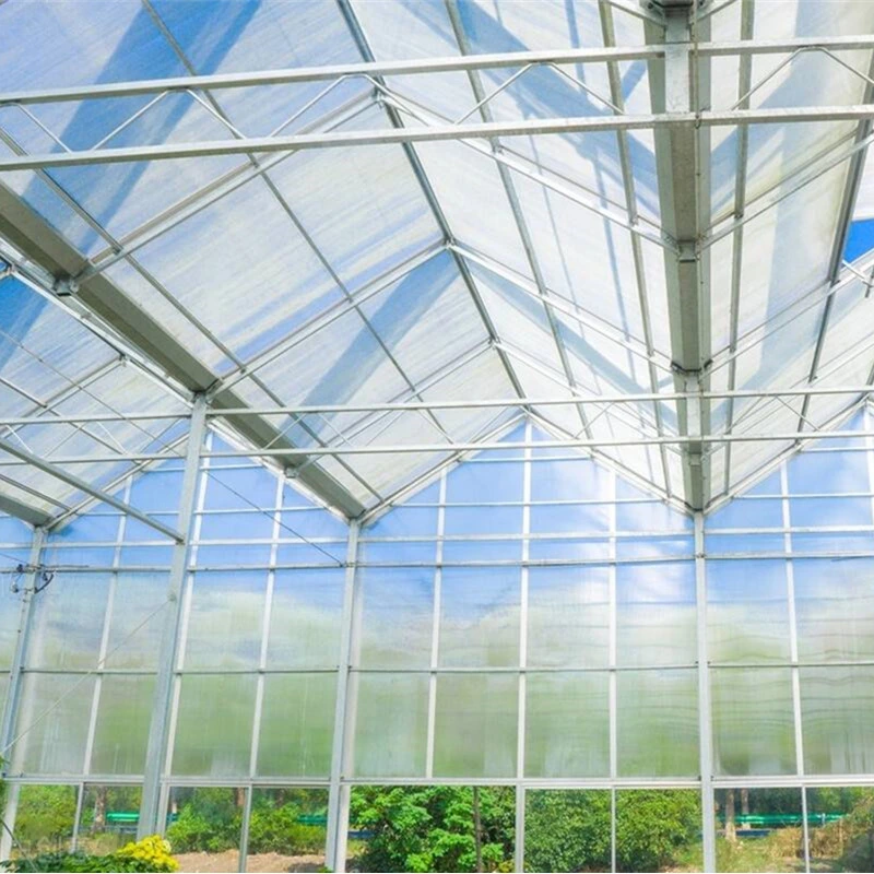 H Section Steel Structure Greenhouse Design with Customization Options