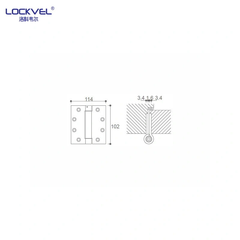 Professional Customization 304 Stainless Steel Spring Hinge for Door