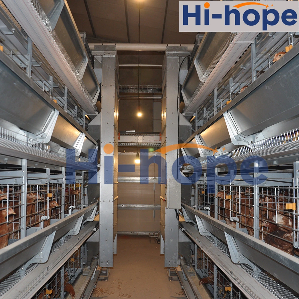 Modern Designed Poultry Equipment Chicken Egg Layer Cages