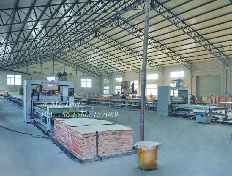 Automatic Plywood Assembly Line for Core Veneer