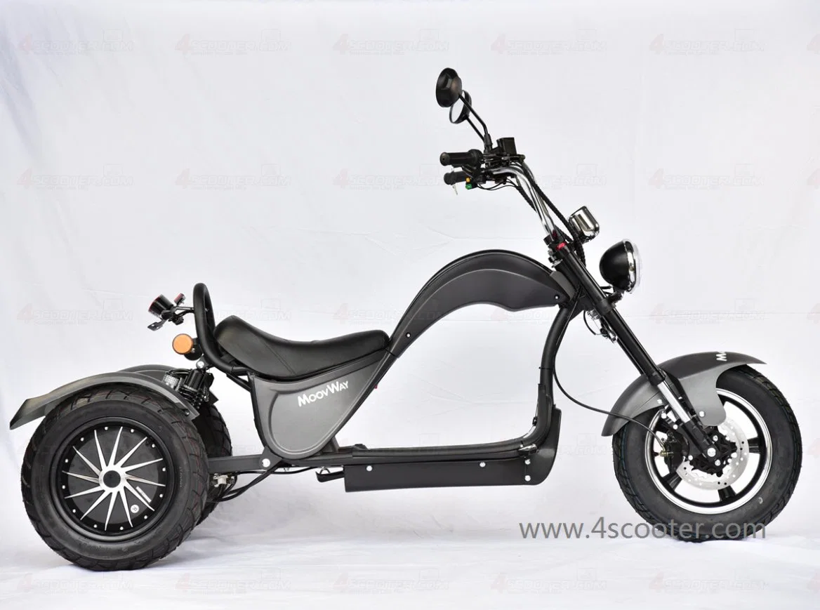 Rendimiento de alta calidad/alto costo Adulto EEC Tricycles 3 rueda doble Motor Motor Scooter Patineta Eléctrica