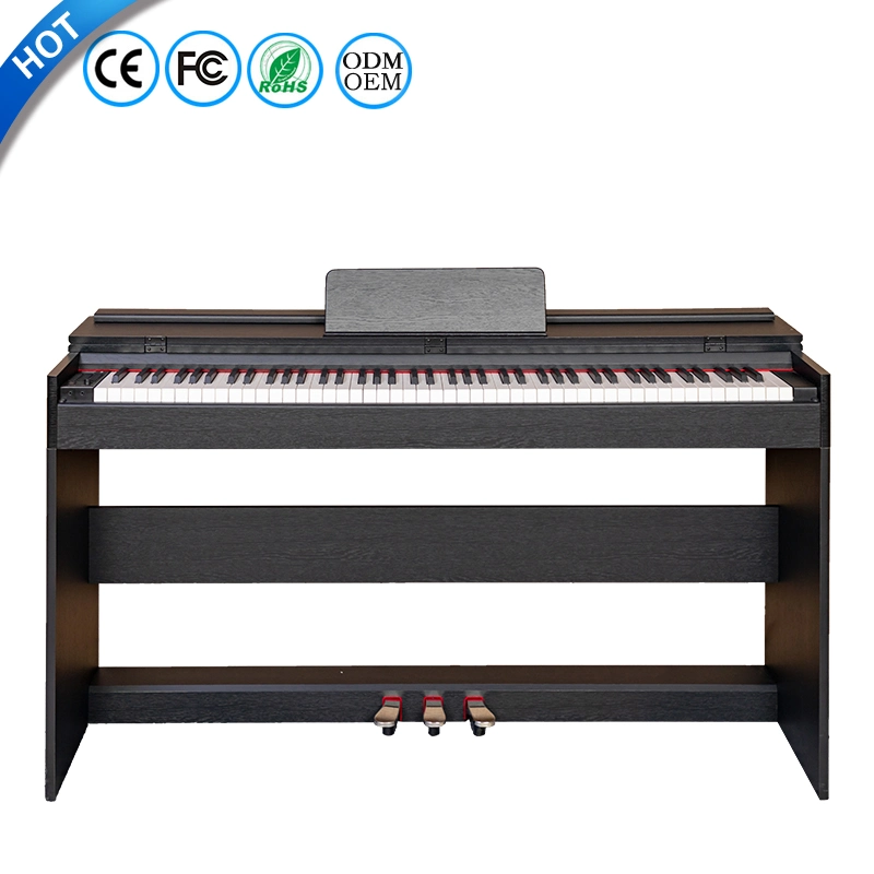 Teclado de Piano eléctrico Digital Signage y mostrar teclados USB Instrumento musical educativos