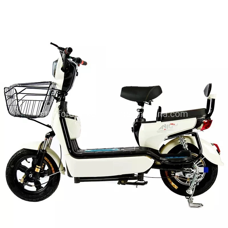 Electric Dirt Bike 48V Electric Cycle Electric Bike Wholesale/Supplier