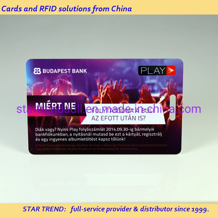 Tk4100 Blank Hole Punch Plastic RFID PVC Card