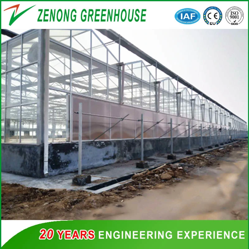 Glass Greenhouse for Exhibition/Seed Breeding/Ecological Restaurant/ Scientific Research